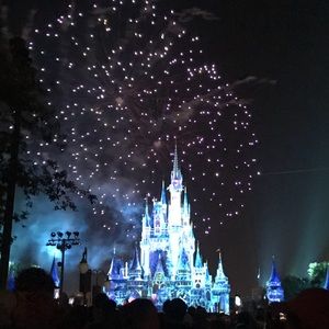 Meet your Posher, Lily